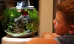 Akvarij za kid