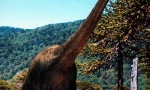Brachiosaur