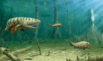 Devonian fish