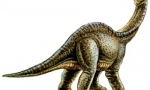 Odnosaurus