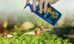 Orodja za akvarij. Chemistry, vitamini, klimatske naprave