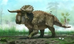 Herbivore dinozavri