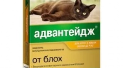 Nadvojanje za mačke - pade iz bolh in uši