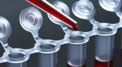 Krvni test za črve pri otrocih in odraslih