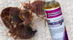 Blokada antiklop in naročilo aplikacij