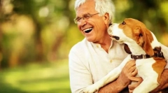 Psi, nevarni za človeka