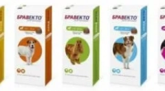 Bravkto iz klopov, bolhe in drugih parazitov