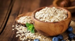 Hitro bunting za pse