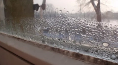 Gospodinjska in ljudska sredstva za uničenje plesni