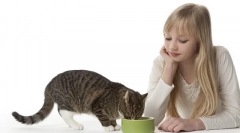 Pogosta vprašanja o hranjenju mačk