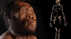 Človek kot prijazen