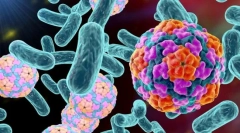 Katere bakterije se razlikujejo od virusov?