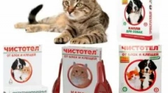 Praznovala od bolhov in klopov za mačke in pse