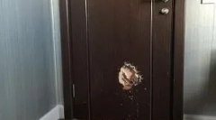 Kateri psi delajo, ko lastniki niso doma: top 10 čudnih razredov