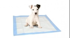 Kaj je bolje za pse - pladenj ali pellery