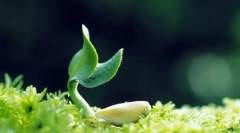 Kaj je potrebno za ohranjanje življenja?