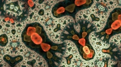 Kaj so najpreprostejši?