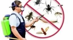 Kaj je deziziranje, vrste in red