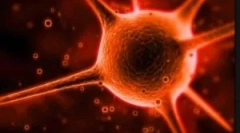 Kaj je kriptosporidija in kakšne so metode njegovega zdravljenja?