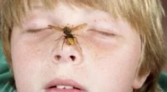 Dejanja staršev, če je otrok malo