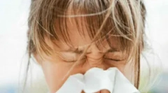 Dermatofage peric ali prah tick