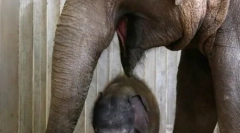Otrok, obdan z materinstvom in ljubeznijo (23 fotografij)