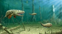 Devonian fish