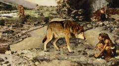 Divji predniki gospodinjskih psov: pogled na skale, podobne volkom