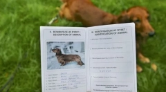 Dokumentov na mladičku