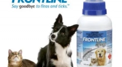 Frontline za mačke: navodila za uporabo
