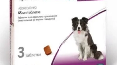 Frontline nexgard in navodila za njegovo uporabo