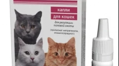 Gestrol za mačke: primeri imenovanja in priporočil za uporabo