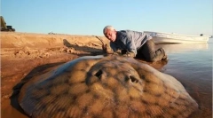 Giant reke pošasti (20 fotografij)