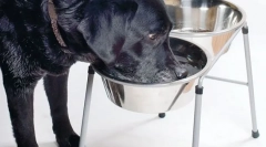 Kronična bolezen ledvic