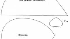 Igrače za mačke, to storite sami: od najpreprostejših do interaktivnih