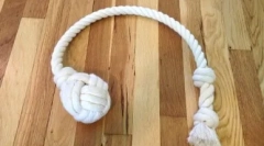 Igrače pes to storijo sami: razvedrilo in razvoj