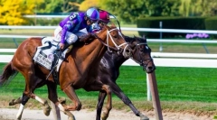 Igre s sodelovanjem konjev