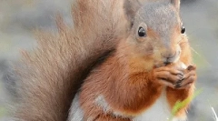 Zanimivosti o beljakovinah