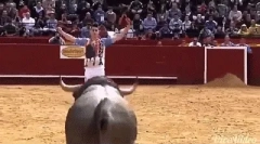 Zanimiva dejstva o bikih