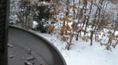 Zanimiva dejstva o spletnih mestih