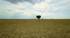 Zanimiva dejstva o noj