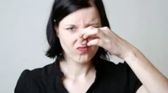 Se znebite vonja duffle miške v hiši