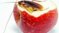 Učinkovita ljudska sredstva iz ščurkov