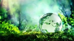 Ekosistem: komponente, struktura, električne verige