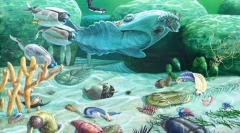 Razvoj divjega življenja