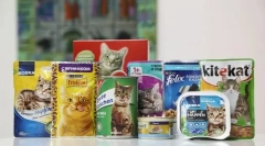 Kako prevesti mačko na suho hrano z drugimi vrstami hrane