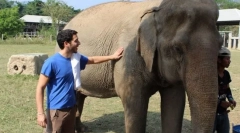 Kako tamed azijski slon