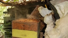 Kako je krožnik urejen?