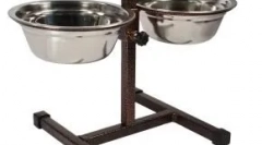 Kako se obnašati s psom, ki je vzel iz zavetišča