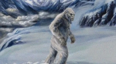 Kako izgleda snežak?